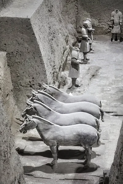 Terracotta Army Sit Alanı. — Stok fotoğraf
