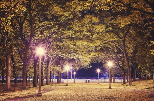 到了晚上，美国芝加哥的城市公园. — 图库照片