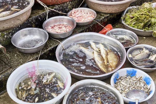 Peixe fresco em tigelas em um mercado de rua local, China — Fotografia de Stock