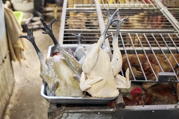 Aves de capoeira em uma bandeja no mercado local de carne, China . — Fotografia de Stock