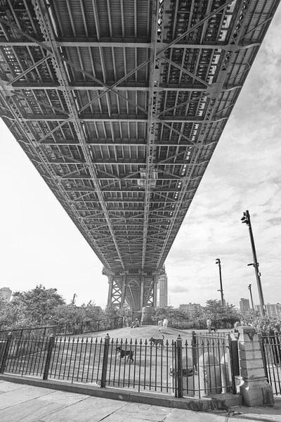 Hoofdstraat hond uitgevoerd onder de Manhattan Bridge. — Stockfoto