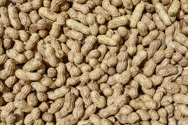 Sun drying peanuts, natural food background or pattern