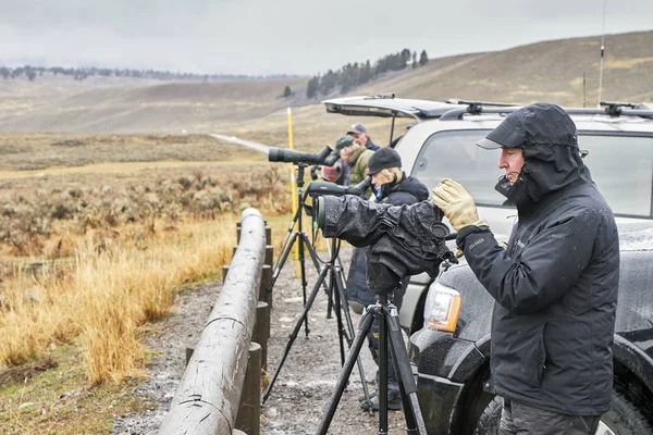 Observadores de vida silvestre observan lobos en un frío día lluvioso . — Foto de Stock