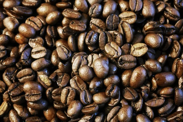 Chicchi di caffè arabica tostati freschi . — Foto Stock