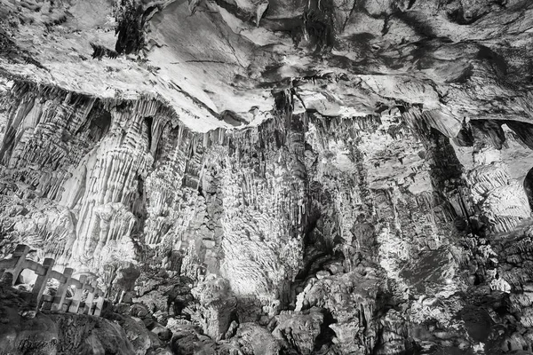Czarno-biały obraz The Cave flet Reed, Chiny. — Zdjęcie stockowe