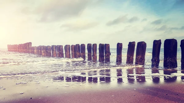 Antiguo rompeolas de madera en una playa al atardecer . — Foto de Stock
