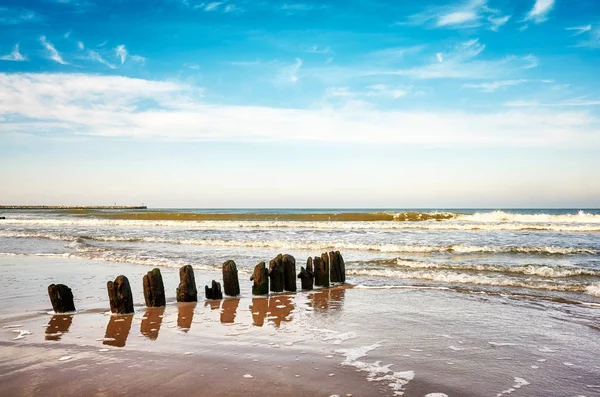 Gammal trä groyne på en strand. — Stockfoto