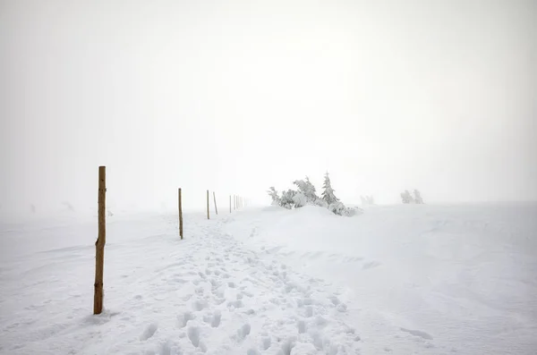 Karkonosze 산, 겨울 풍경에 블리자드. — 스톡 사진