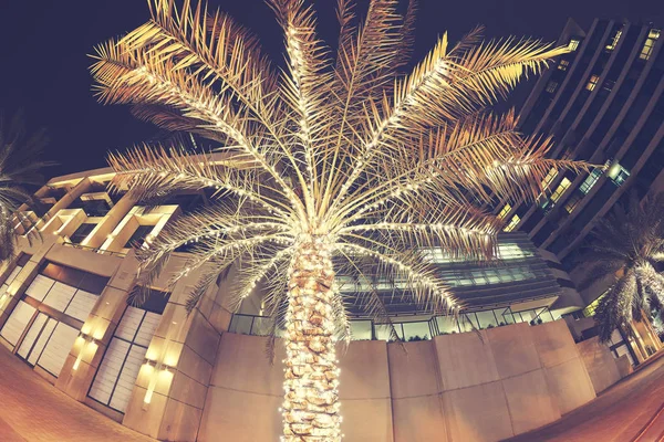 Verlichte palmboom op een straat. — Stockfoto