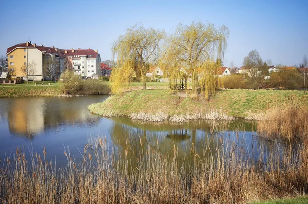 Dzielnicy mieszkalnej z parkiem staw. — Zdjęcie stockowe