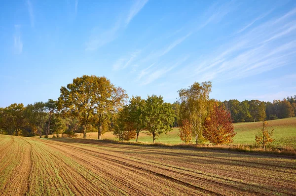 Paysage d'automne avec champ et forêt — Photo