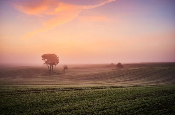 Hermoso amanecer brumoso colorido en un campo — Foto de Stock