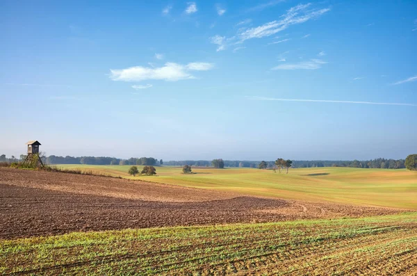 Autumnal farmland landscape in warm morning sunlight — Stock Photo, Image