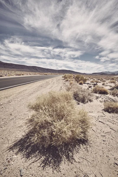 Plantas secas junto a un camino en Death Valley, EE.UU. . — Foto de Stock
