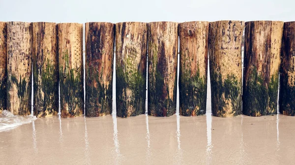 Groyne en bois partiellement recouvert d'algues sur une plage — Photo