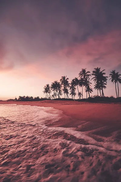 Tropical παραλία με καρύδα φοίνικα σιλουέτα στο ηλιοβασίλεμα. — Φωτογραφία Αρχείου