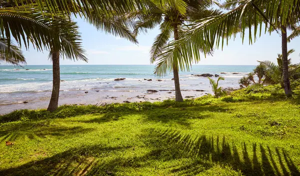 Tropische Landschaft Mit Palmen Und Meer — Stockfoto