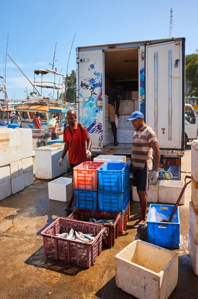 Tangalle Sri Lanka December 2019 Men Loading Fish Wharf Tangalle — Stock Photo, Image