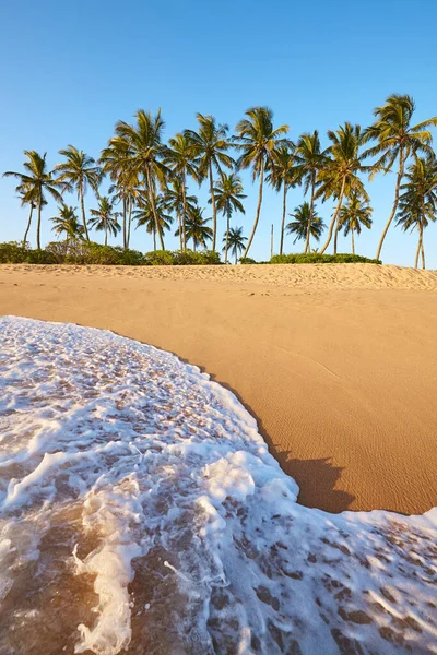 Тропічний Пляж Вид Води Заході Сонця — стокове фото