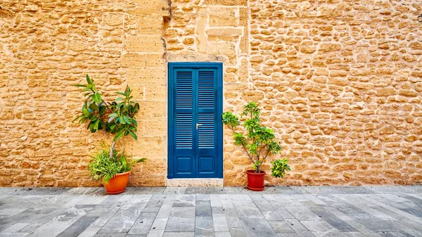 Alte Steinmauer Mit Blauer Tür Und Topfblumen Einer Straße Der — Stockfoto
