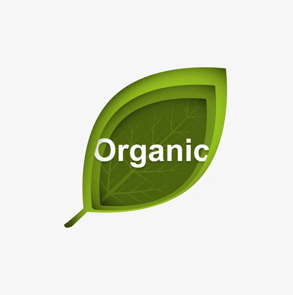 Ikona organiczne naturalne liść — Wektor stockowy