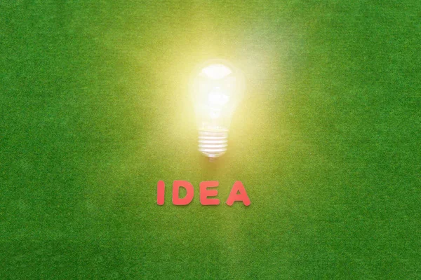 Žárovka Nápad Slovem Zeleném Pozadí Koncept Podnikatelského Záměru Kreativita — Stock fotografie