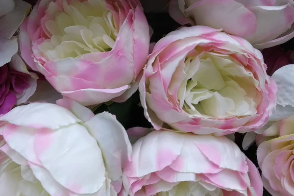 Bouquet, peony flowers. flora.