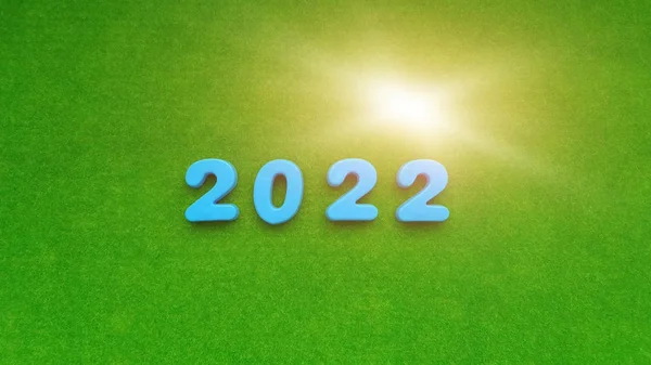 Figures 2022 Green Background — 스톡 사진