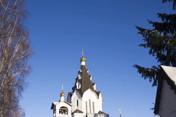 Cúpulas Una Iglesia Ortodoxa Sobre Fondo Cielo Azul Árboles — Foto de Stock