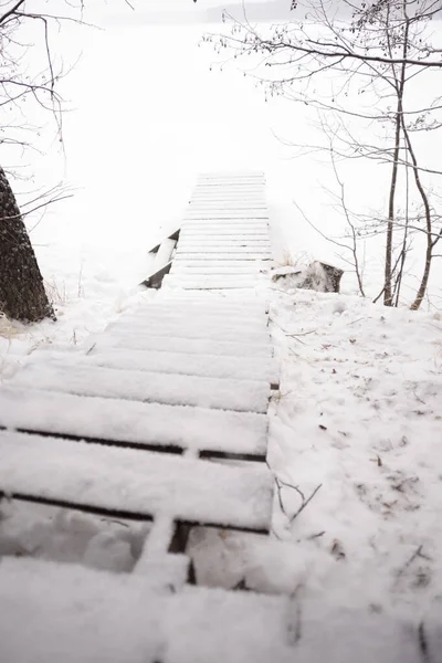 Escalones Madera Sobre Fondo Naturaleza Invernal Viajes Recreación Activa Invierno Imágenes de stock libres de derechos