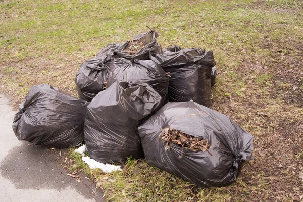 Bags with garbage from cleaning the territory. Saturday, cleaning the foliage in the spring.