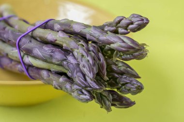 Violetter Spargel; Purple asparagus bundle