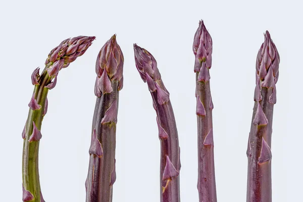 Purple and green asparagus — Stock Photo, Image