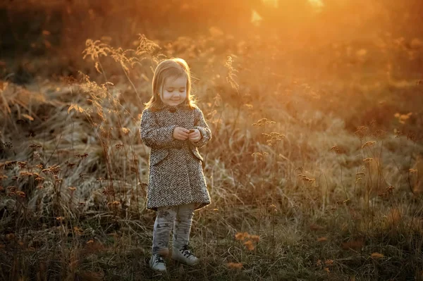 A little pretty girl stands near the birch. — Stock Photo, Image