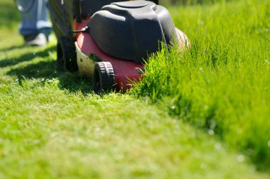 Çim biçme makinesi arka bahçesinde yeşil çim kesme.