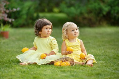 İki küçük tatlı kız çimlerin üzerinde oturmuş ellerinde limon tutuyorlar. Yaz, park, kız arkadaşlar, torba.