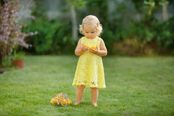 Charming Little Girl Eating Lemon Park — Stock Photo, Image