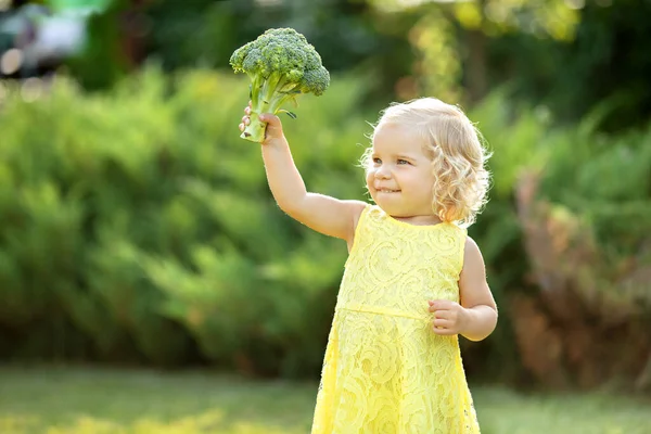 小女孩抱着花椰菜在自家花园 健康的家庭生活 秋天收获季节 家庭农民 — 图库照片