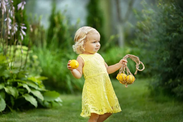 Jolie Petite Fille Porte Des Citrons Dans Sac Ficelle Été Photos De Stock Libres De Droits