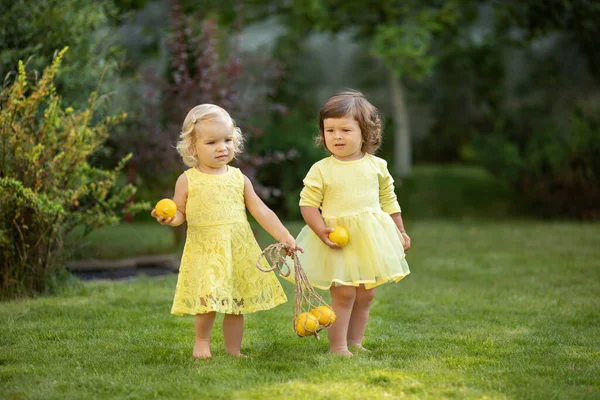Dwie Małe Dziewczynki Noszą Cytryny Torbie Lato Park Gra Dziewczyny Zdjęcie Stockowe