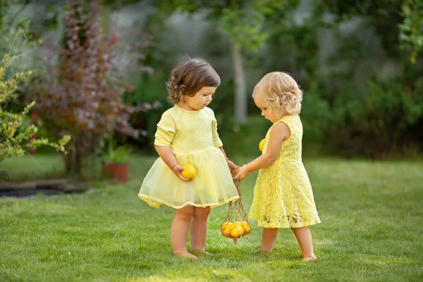 Dwie Małe Dziewczynki Noszą Cytryny Torbie Lato Park Gra Dziewczyny Obraz Stockowy