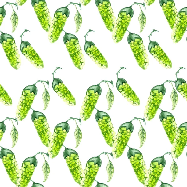 hops green cones seamless pattern