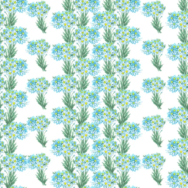 watercolor daisies flowers seamless pattern