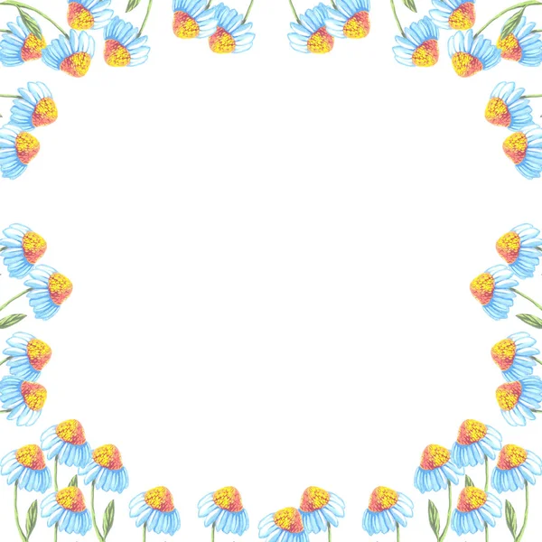 Ramka stokrotka kwiaty akwarela — Zdjęcie stockowe