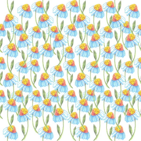Seamless pattern camomile flowers watercolor — ストック写真