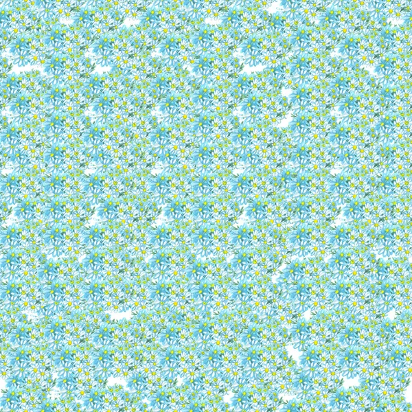 papatya çiçekleri pürüzsüz desen