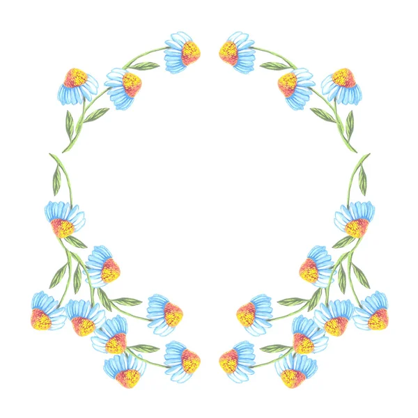 papatya çiçeği çerçevesi