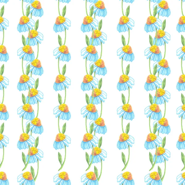 Daisy flowers pattern seamless strips watercolor — Stock Photo, Image