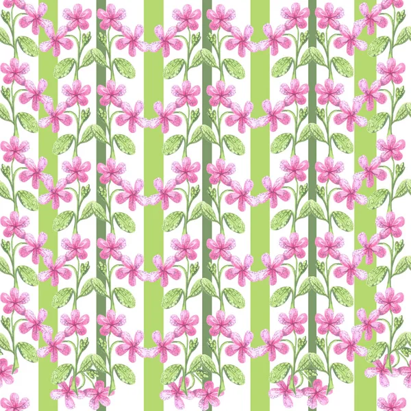 Duvar Kâğıdı Suluboya Çizgili Yeşil Yapraklar Çiçek Pembe Beyaz Arka — Stok fotoğraf