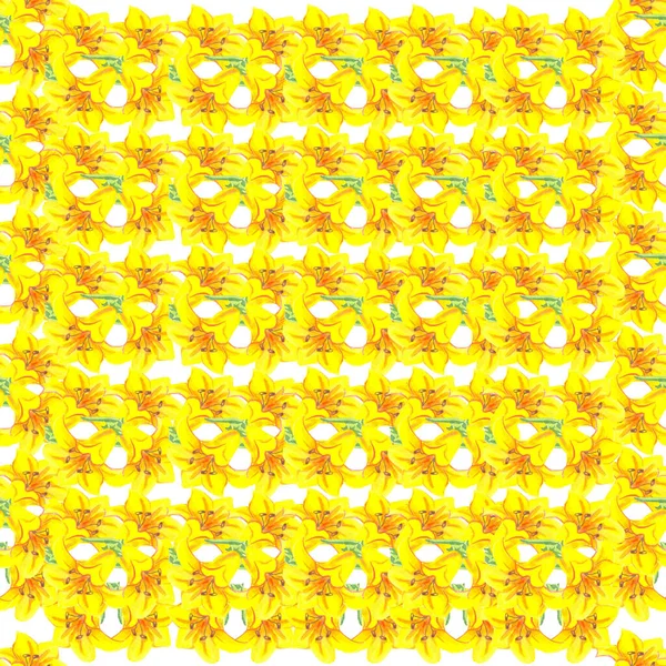 Beyaz arka planda parlak bir çiçek duvar kağıdında zambak sarısı suluboya desenleri